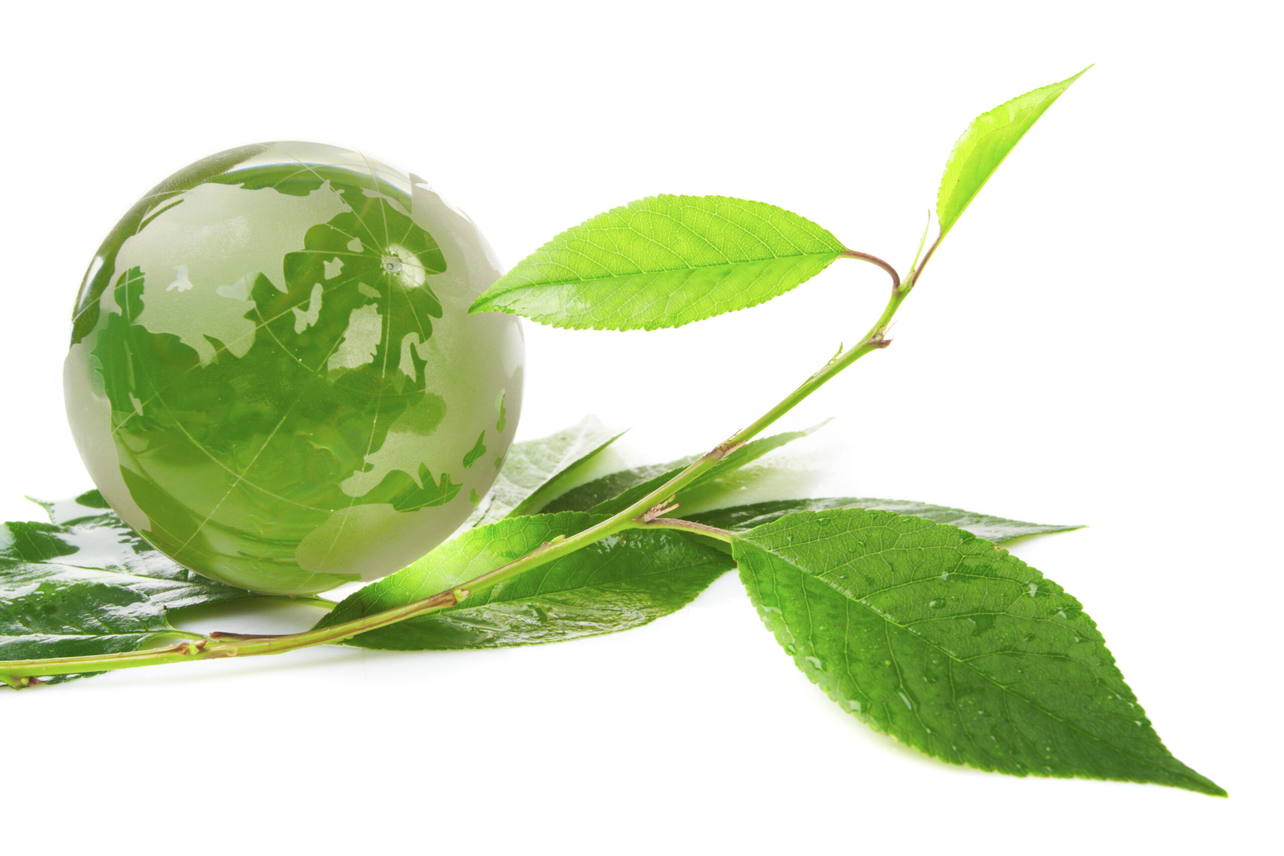 Five Star Environmental Audit