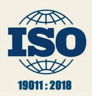ISO 19011